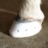 3D-printed hoofshoe attached to hoof of first patient