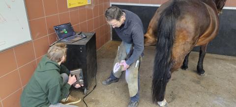 Digitalization of horse's hoof using a handheld 3D scanner